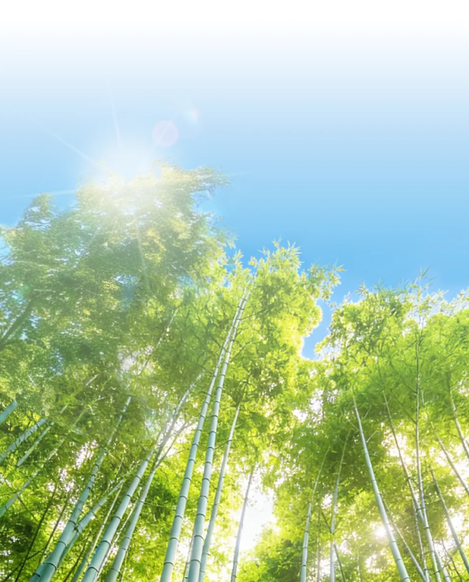 精研深耕，蓄力新程